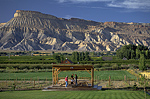 Winery, Palisade, Colorado.